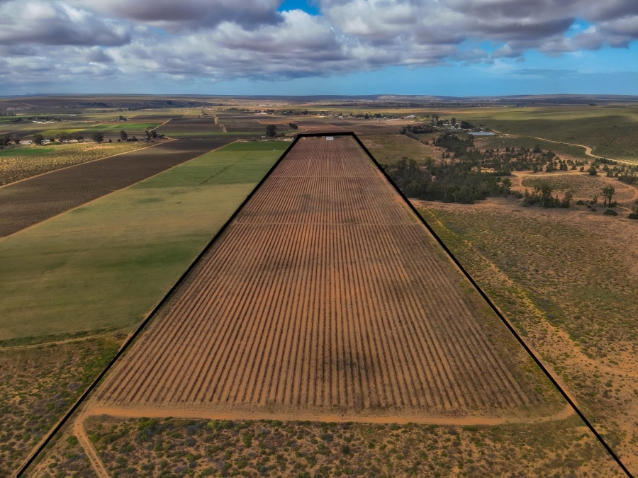 4 Bedroom Property for Sale in Lutzville Western Cape